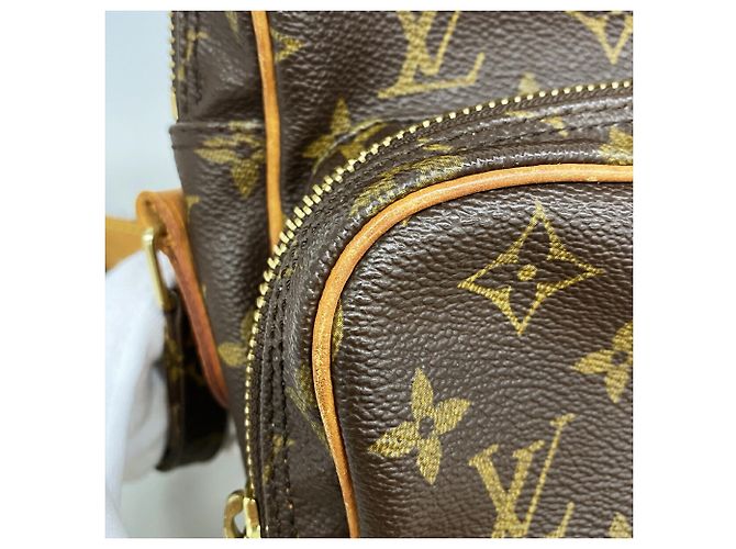 Borsa a tracolla Louis Vuitton Monogram Amazon Marrone - vista 9