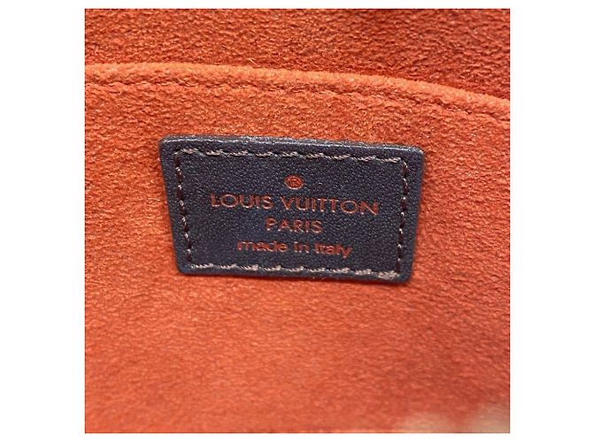 Borsa Louis Vuitton Damier Sauvage Tiger Damier ebene - vista 5