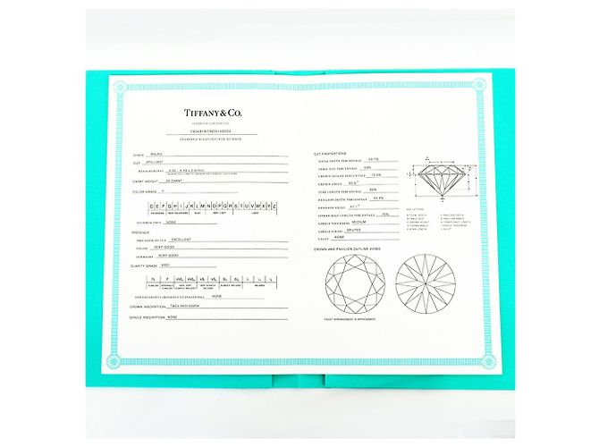 Tiffany & Co. Platin-Diamant-Bandring - Ansicht 8