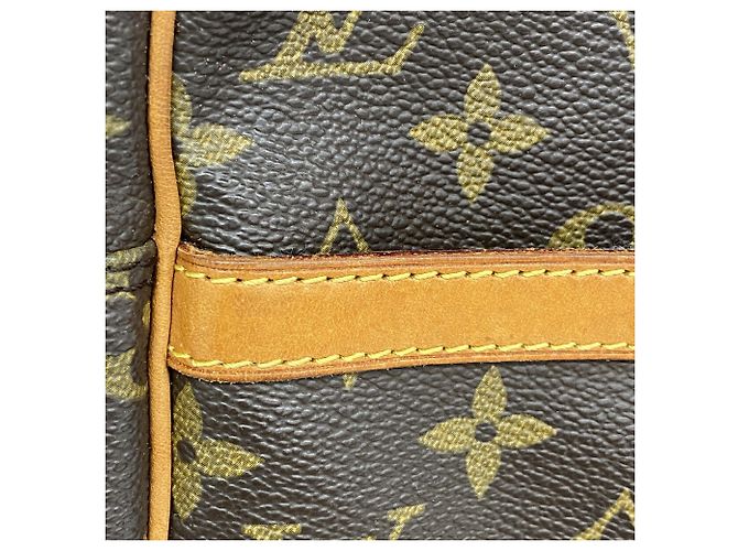 Borsa a tracolla Louis Vuitton Monogram Danube MM Marrone - vista 9