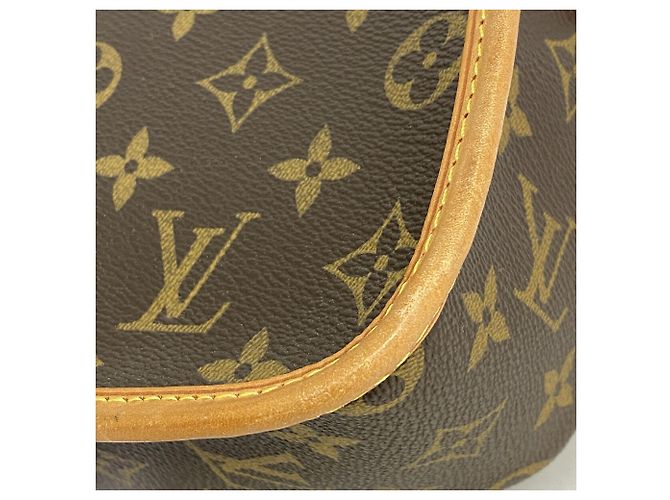 Borsa a tracolla Louis Vuitton Monogram Sologne Marrone - vista 6