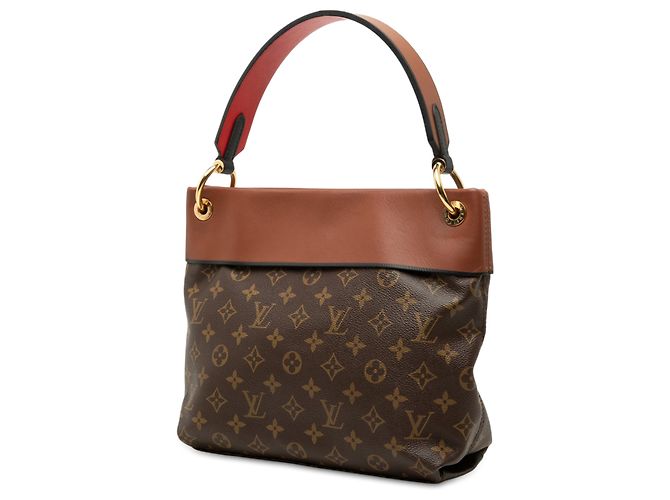Louis Vuitton Brown Monogram Tuileries Besace Marrone - vista 2