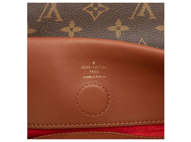 Louis Vuitton Brown Monogram Tuileries Besace Marrone - vista 5