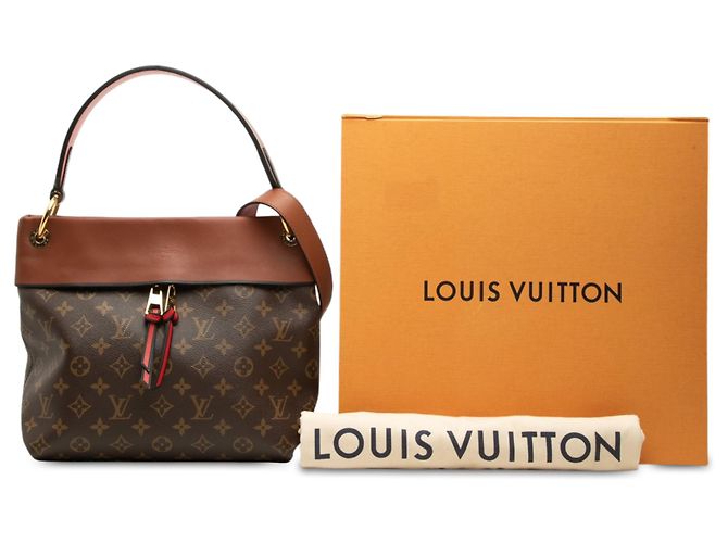 Louis Vuitton Brown Monogram Tuileries Besace Marrone - vista 7
