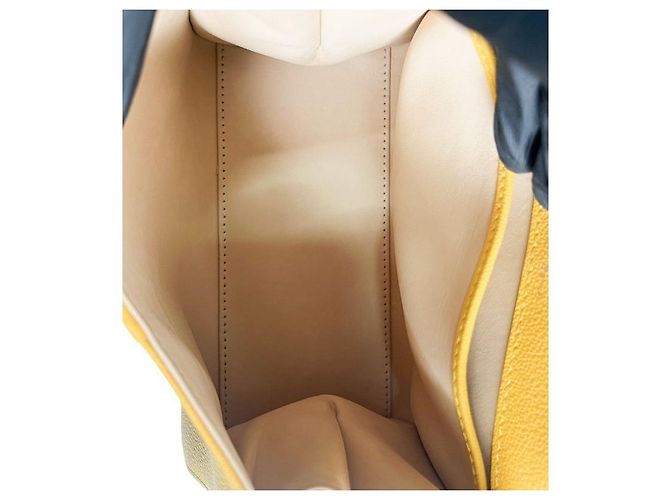 Delvaux Mini Borsa Tote Yellow Brilliance Box Giallo - vista 12