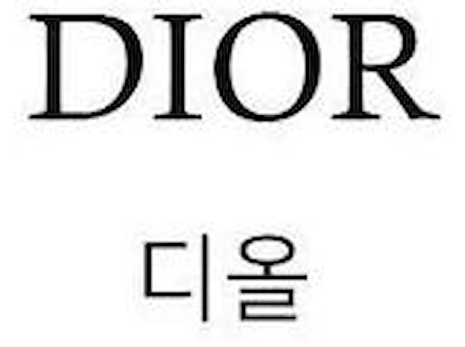 Dior Pochette Blu - vista 2