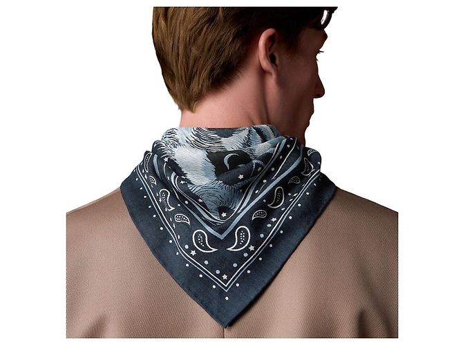 Hermès Bandana-Schal Blau - Ansicht 4