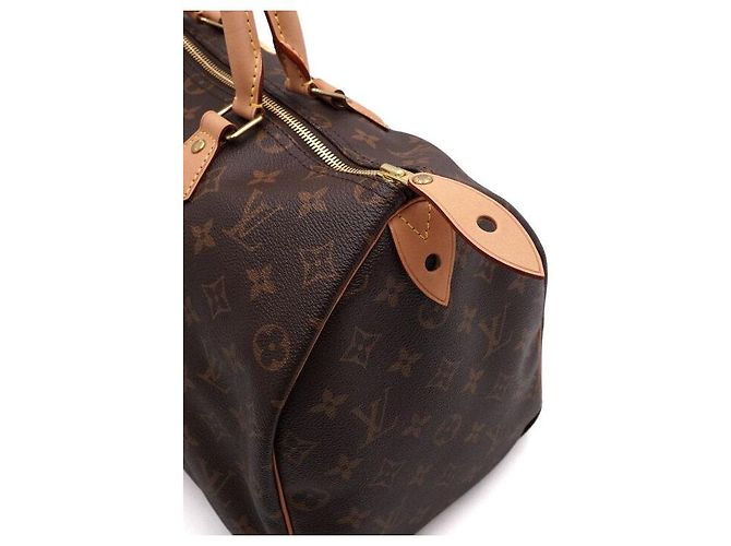 Louis Vuitton Speedy Tote Bag aus Monogram Canvas Mehrfarben - Ansicht 11