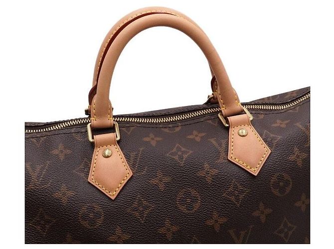 Louis Vuitton Speedy Tote Bag aus Monogram Canvas Mehrfarben - Ansicht 9