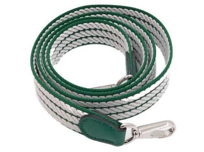 Hermès Borsa a tracolla e crossbody Evelyne TPM Amazon Vert Vertigo Clémence Silver Argento - vista 10