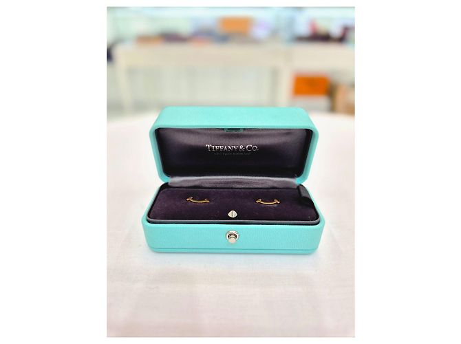Tiffany & Co Smile Mini Ohrringe Gelb - Ansicht 10