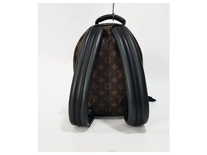 Louis Vuitton Zaino Palm Springs PM - vista 4