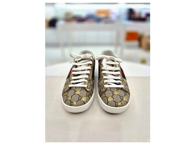 Gucci Sneakers Ace GG Supreme Bi Marrone - vista 10