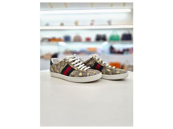 Gucci Sneakers Ace GG Supreme Bi Marrone - vista 12