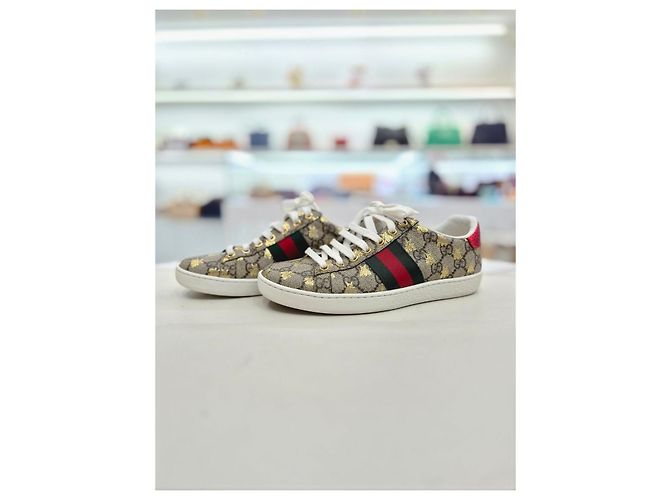 Gucci Sneakers Ace GG Supreme Bi Marrone - vista 13