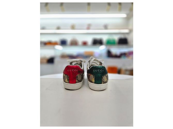 Gucci Sneakers Ace GG Supreme Bi Marrone - vista 14