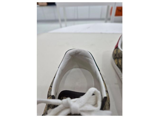 Gucci Sneakers Ace GG Supreme Bi Marrone - vista 19