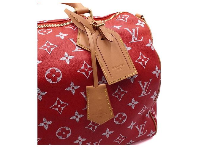 Louis Vuitton Borsa Speedy Monogram Bandouliere Tote Bag e Borsa a Tracolla in Special Red Rosso - vista 10