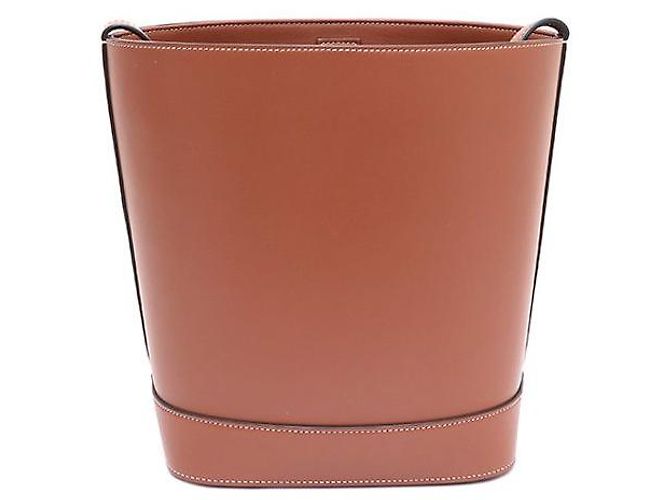 Céline Bolso bucket pequeño y bolso bandolera Triomphe Turt Castaño - vista 3