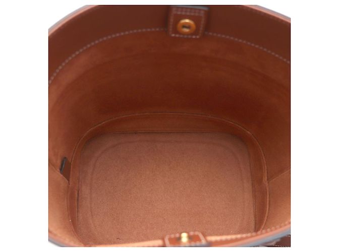 Céline Bolso bucket pequeño y bolso bandolera Triomphe Turt Castaño - vista 7
