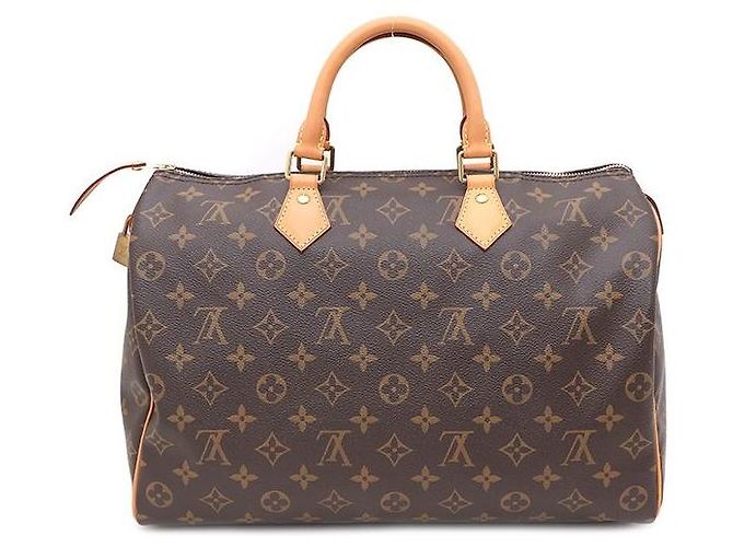 Louis Vuitton Borsa Tote Speedy in canvas Monogram Multicolore - vista 3