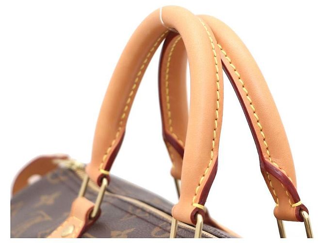 Louis Vuitton Borsa Tote Speedy in canvas Monogram Multicolore - vista 4