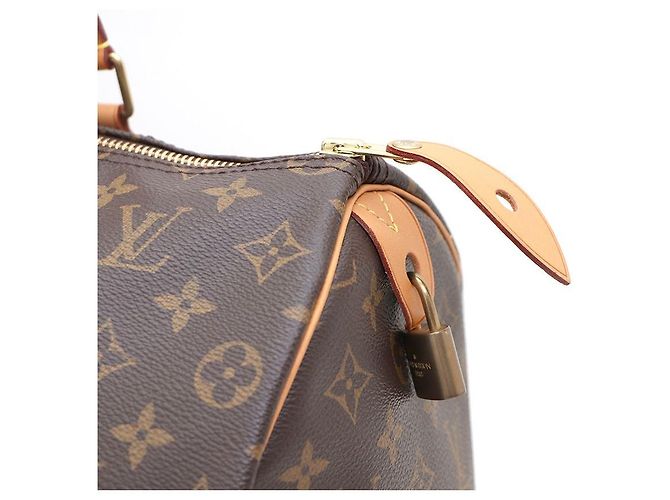 Louis Vuitton Borsa Tote Speedy in canvas Monogram Multicolore - vista 5
