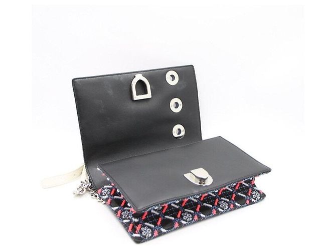Borsa a tracolla Diorama Silver Chain Edizione Limitata Multicolore - vista 5