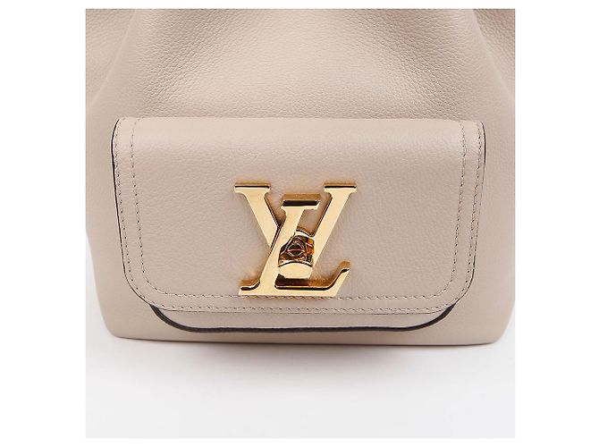 Louis Vuitton Borsa bucket in pelle grana Gris Marrone - vista 2