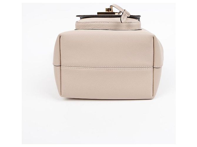 Louis Vuitton Borsa bucket in pelle grana Gris Marrone - vista 5