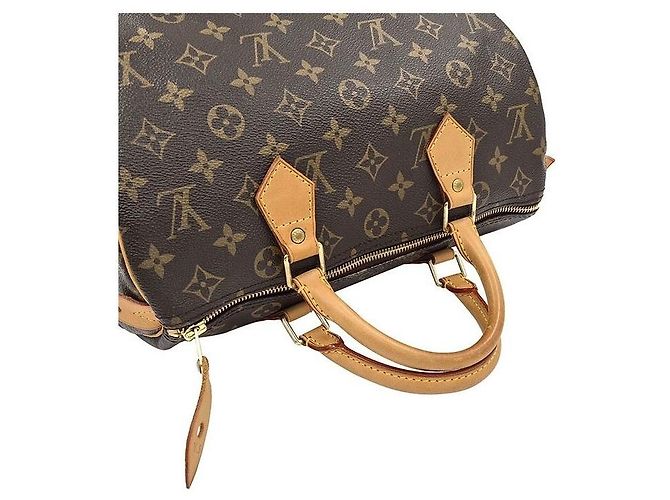 Louis Vuitton Speedy 30 Monogram Mehrfarben - Ansicht 5