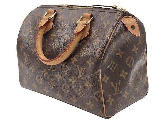 Louis Vuitton Monogram Speedy Multicor - vista 2