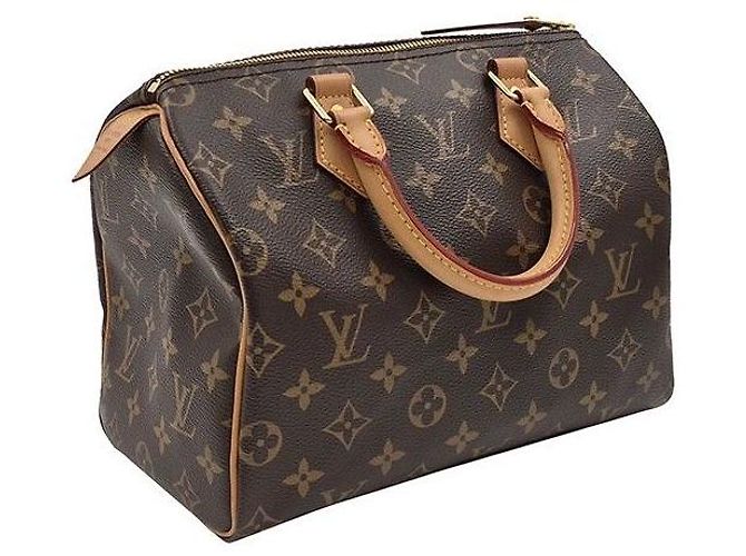 Louis Vuitton Monogram Speedy Multicor - vista 3