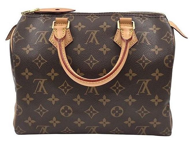 Louis Vuitton Monogram Speedy Multicor - vista 4