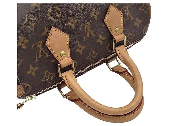 Louis Vuitton Monogram Speedy Multicor - vista 5