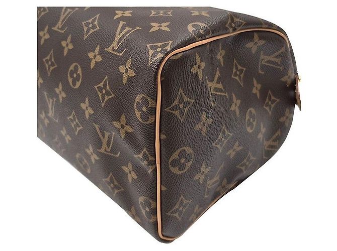 Louis Vuitton Monogram Speedy Multicor - vista 7
