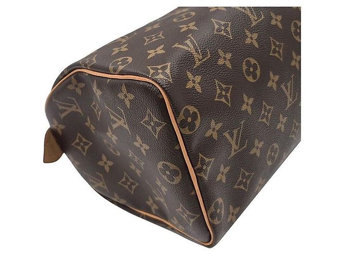Louis Vuitton Monogram Speedy Multicor - vista 8