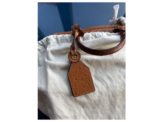 Borsa a mano Loewe Amazona 28 in pelle di struzzo Marrone Cammello - vista 14