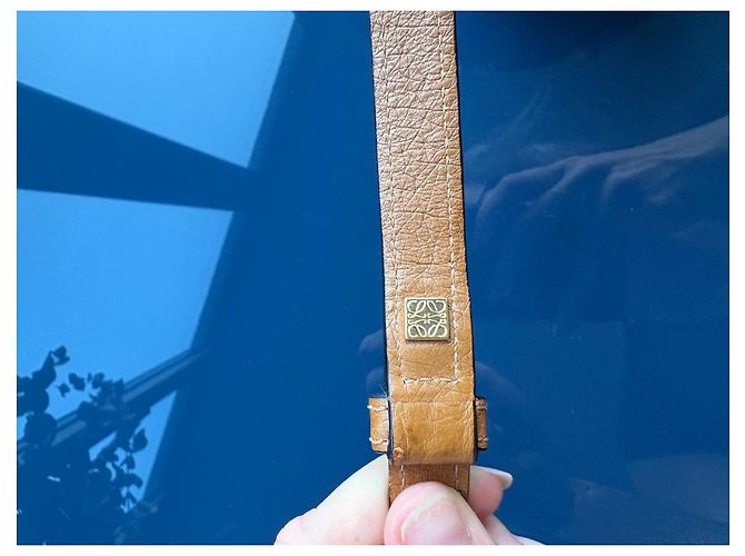 Borsa a mano Loewe Amazona 28 in pelle di struzzo Marrone Cammello - vista 2