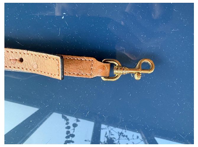 Borsa a mano Loewe Amazona 28 in pelle di struzzo Marrone Cammello - vista 8