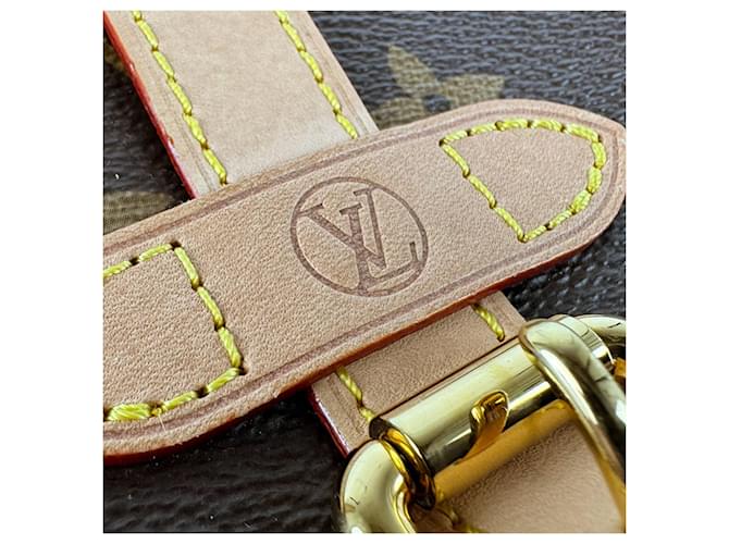 Saumur Borsa a tracolla Louis Vuitton Monogram Marrone Monogramma - vista 12
