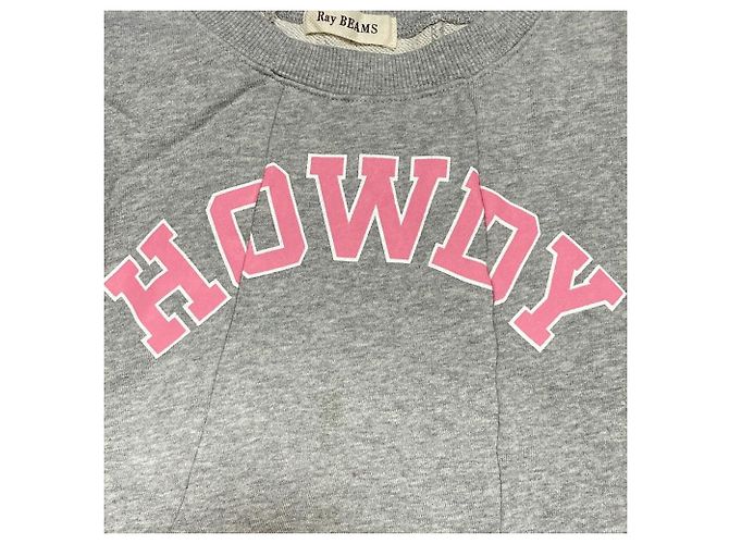 Autre Marque Ray BEAMS Kurzes Sweatshirt Braun - Ansicht 4