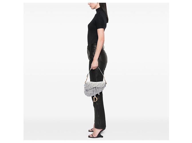 Dior Gray Oblique bestickte Canvas Saddle Bag Braun Grau - Ansicht 6
