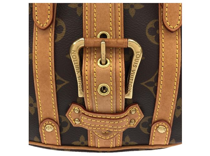 Borsa Louis Vuitton Monogram Teda PM Marrone - vista 5