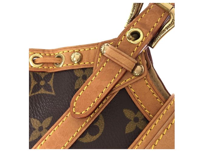Borsa Louis Vuitton Monogram Teda PM Marrone - vista 7
