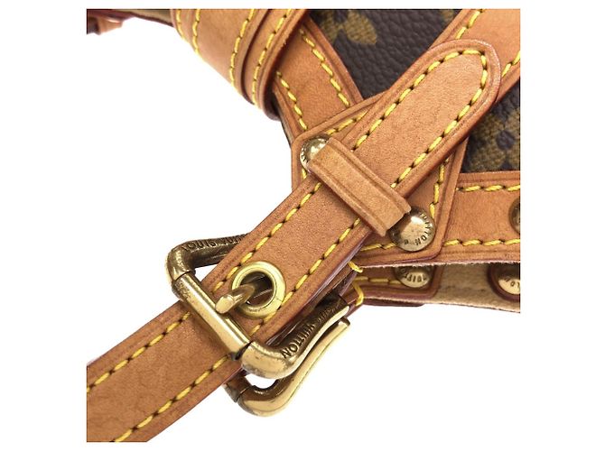 Borsa Louis Vuitton Monogram Teda PM Marrone - vista 8