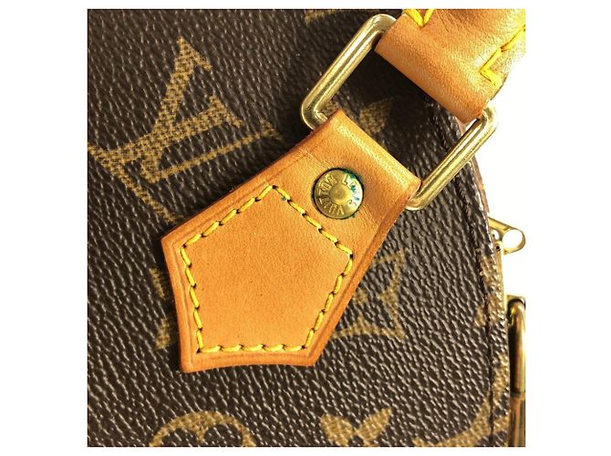 Borsa Louis Vuitton Monogram Ellipse PM Marrone - vista 5