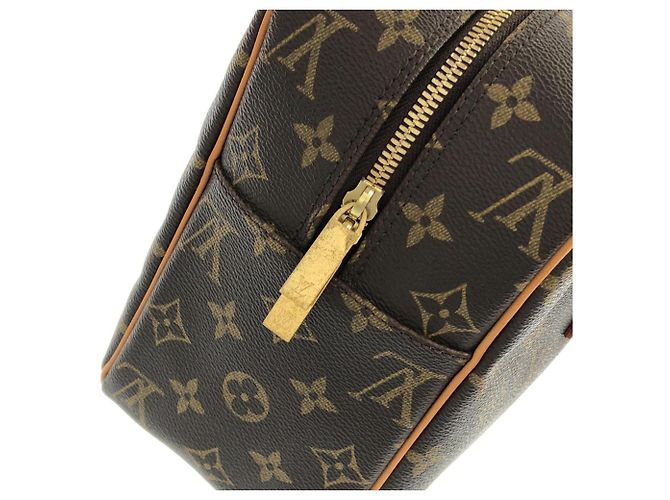Bolso de hombro Louis Vuitton Monogram Cite GM Castaño - vista 5