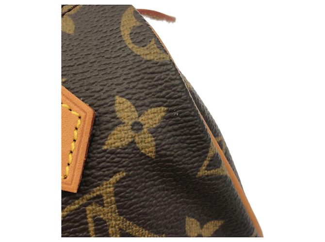 Borsa Boston Mini Speedy Monogram Louis Vuitton Marrone - vista 5