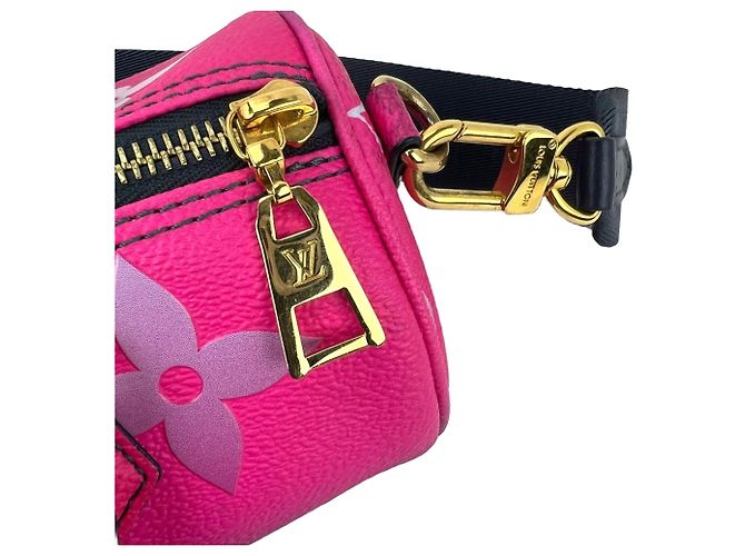 Borsa a tracolla Louis Vuitton Monogram Giant Spring In The City Papillon BB Rosa - vista 10